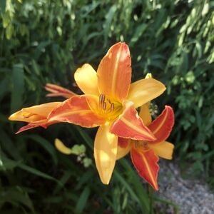 Meet your Posher, Catherine